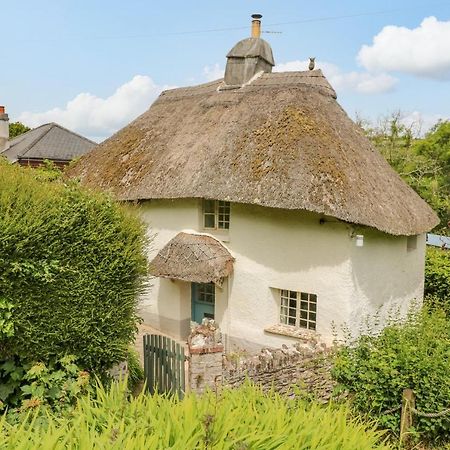 Elworthy Cottage ซัลคอมบ์ ภายนอก รูปภาพ