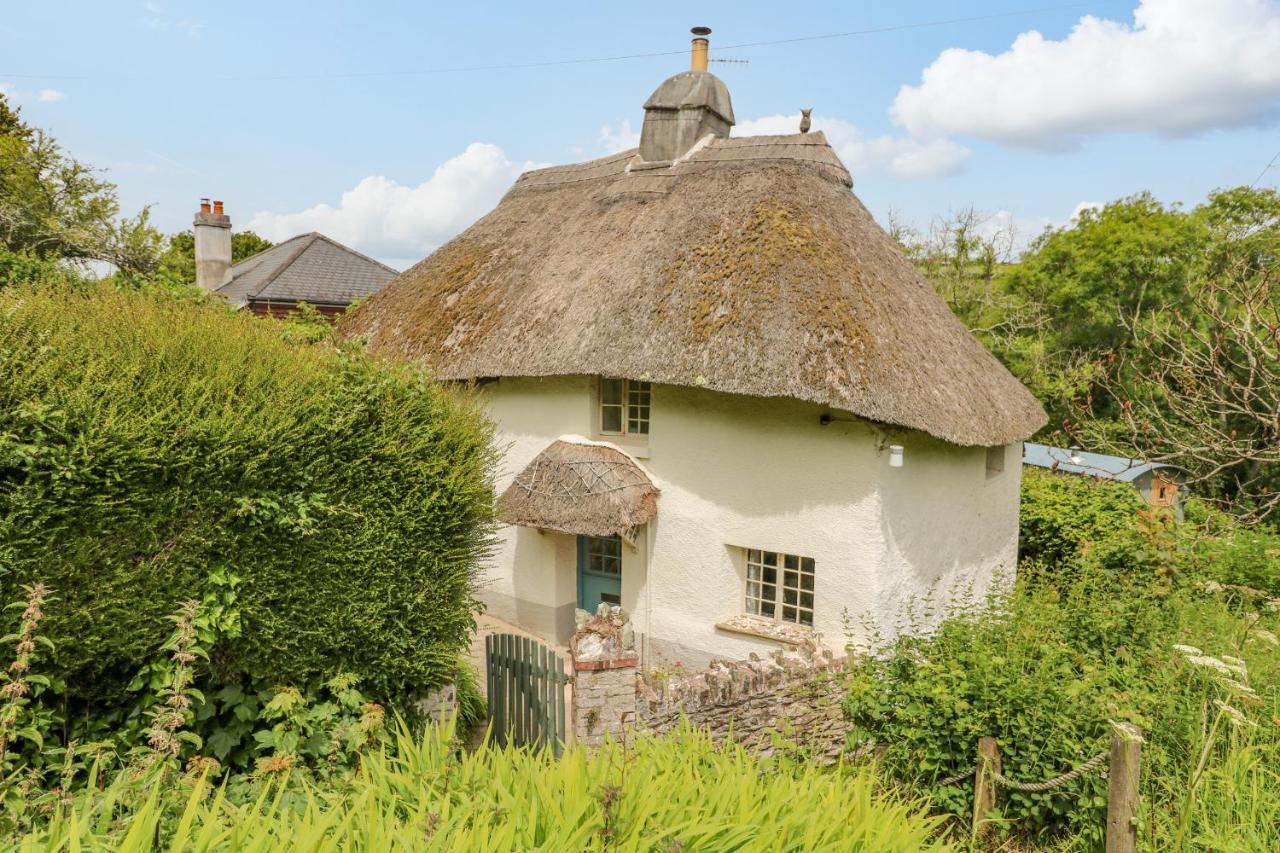 Elworthy Cottage ซัลคอมบ์ ภายนอก รูปภาพ