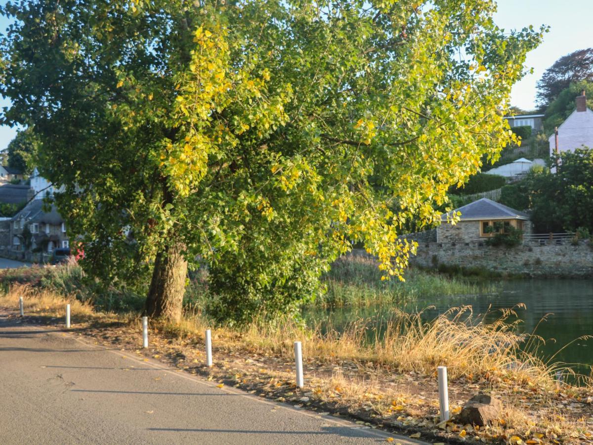 Elworthy Cottage ซัลคอมบ์ ภายนอก รูปภาพ