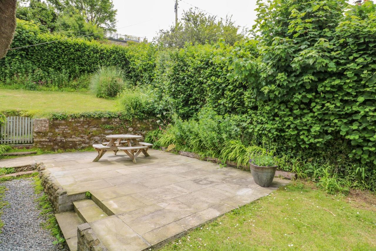 Elworthy Cottage ซัลคอมบ์ ภายนอก รูปภาพ